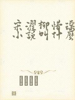 宋濯柳惜瑶原著小说叫什么名字