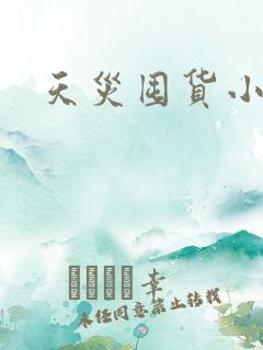 天灾囤货小说