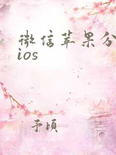 微信苹果分身版ios