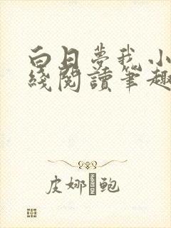 白日梦我小说在线阅读笔趣阁