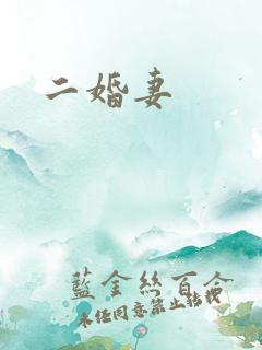 二婚妻