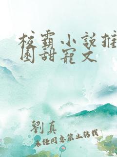 校霸小说推荐校园甜宠文