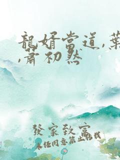 龙婿当道,叶辰,萧初然