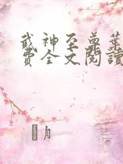 武神至尊叶风免费全文阅读无弹窗
