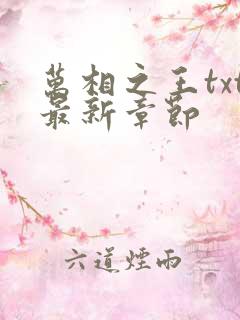 万相之王txt最新章节