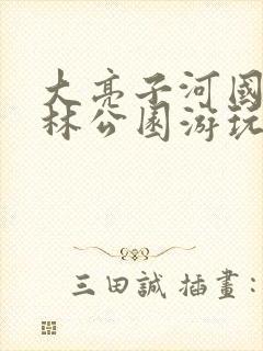 大亮子河国家森林公园游玩攻略