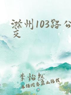 滁州103路公交