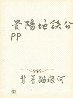 贵阳地铁公交app