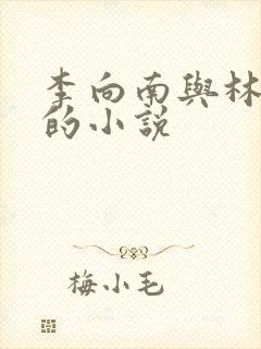 李向南与林楚乔的小说