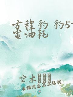 方程豹 豹5馈电油耗