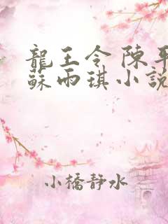 龙王令 陈平,苏雨琪小说免费