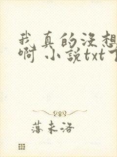 我真的没想出名啊 小说txt下载