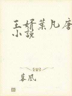 王婿叶凡唐若雪小说
