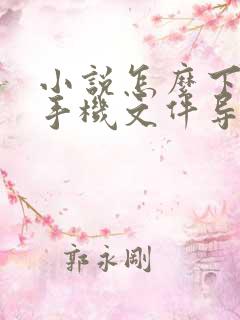 小说怎么下载到手机文件导入mp4 小说怎么下载到手机文件导入mp4