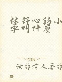 林舒心的小说名字叫什么