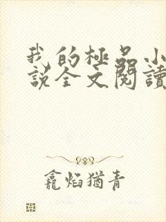 我的极品小姨小说全文阅读免费