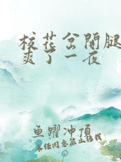 校花岔开腿让我爽了一夜