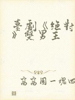 台剧《绝对控制》双男主