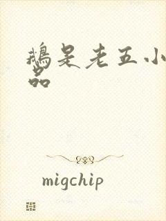 鹅是老五小说作品