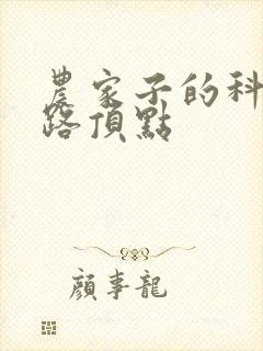 农家子的科举之路顶点