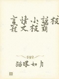 言情小说校园甜宠文校霸