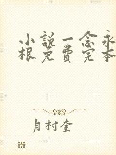小说一念永恒耳根免费完本