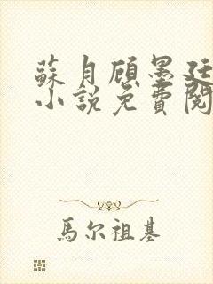 苏月顾墨廷林阮小说免费阅读最新章节列表