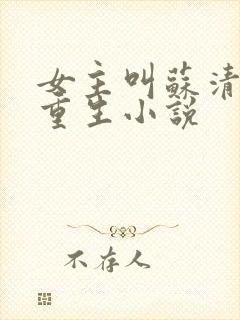 女主叫苏清婉的重生小说