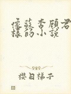 像苏杳顾君亦一样的小说