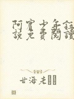 阿宾少年钰慧小说免费阅读笔趣阁