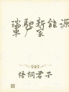 瑞驰新能源面包车厂家