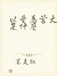 以爱为营大结局是什么
