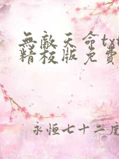 无敌天命txt精校版免费阅读