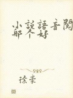 小说语音阅读器哪个好