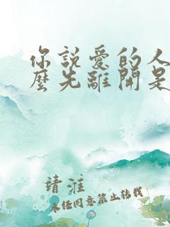 你说爱的人为什么先离开是什么歌