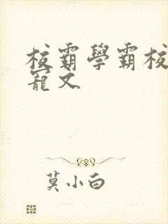校霸学霸校园甜宠文