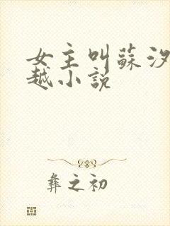 女主叫苏汐的穿越小说