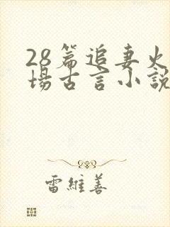 28篇追妻火葬场古言小说