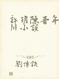 许玥陈晋年沈淮川小说