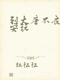 到大唐不夜城西安玩