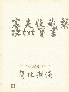 寡夫收藏系统总攻txt宝书