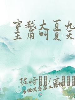 穿越大夏九皇子主角叫夏天的小说
