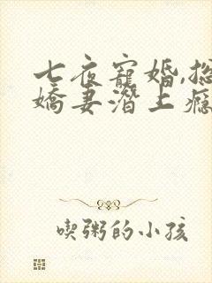 七夜宠婚,总裁娇妻潜上瘾