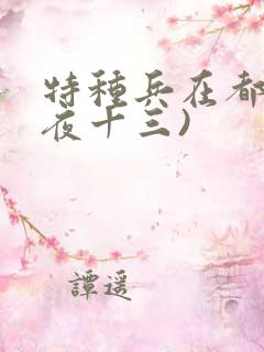 特种兵在都市(夜十三)