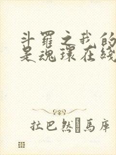 斗罗之我的武魂是魂环在线阅读
