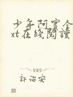 少年阿宾全文txt在线阅读