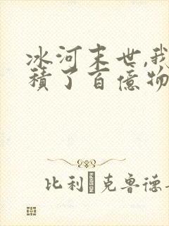 冰河末世,我囤积了百亿物