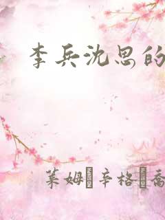李兵沈思的小说