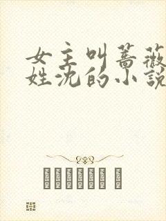 女主叫蔷薇男主姓沈的小说