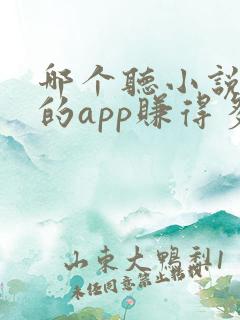 哪个听小说赚钱的app赚得多